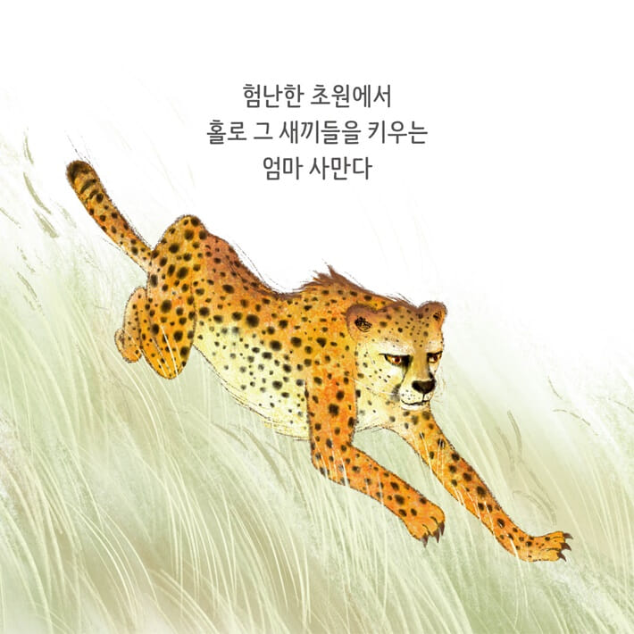 카드뉴스1