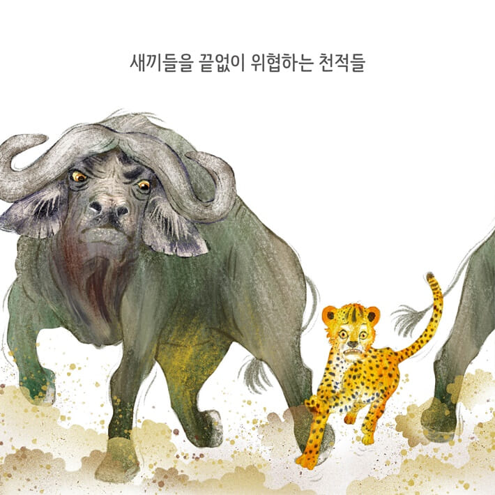 카드뉴스2
