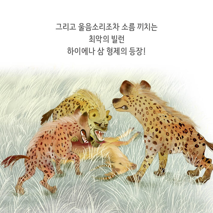 카드뉴스3