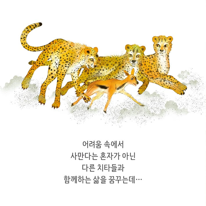 카드뉴스4