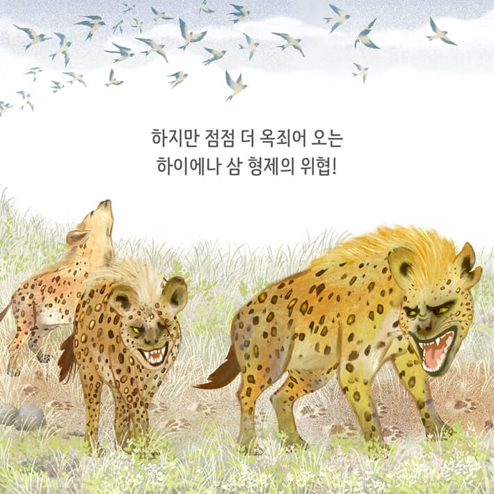 카드뉴스5