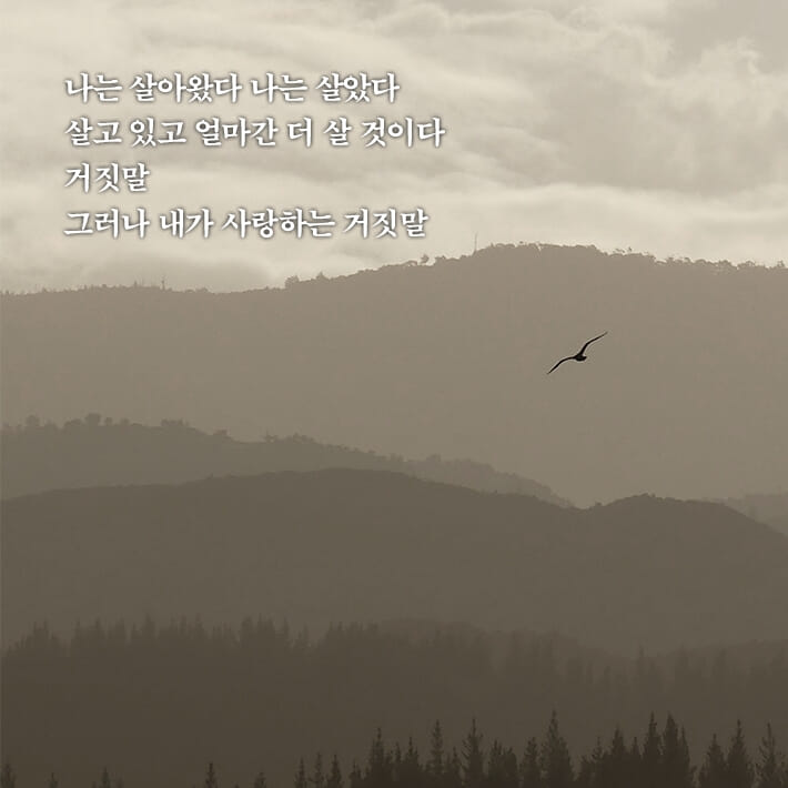 카드뉴스2