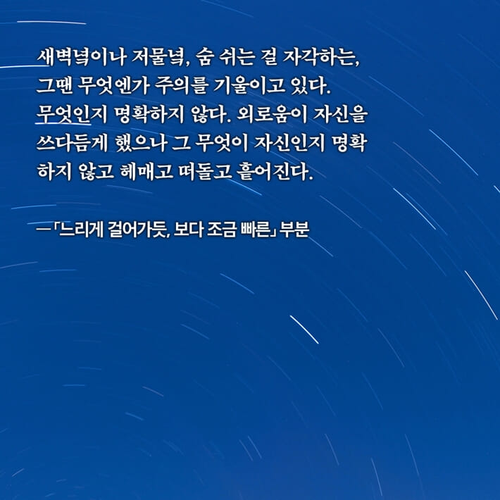 카드뉴스4