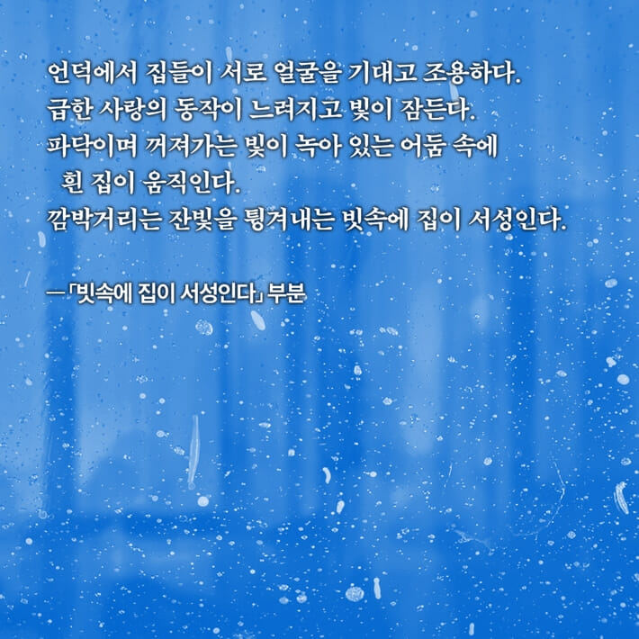 카드뉴스5