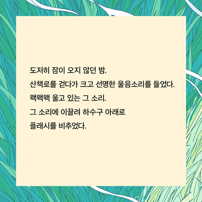 카드뉴스3