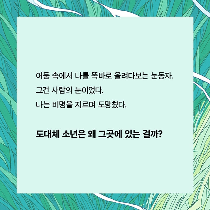 카드뉴스4