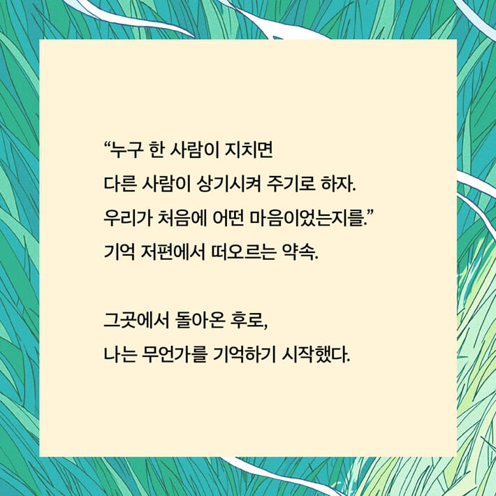 카드뉴스5