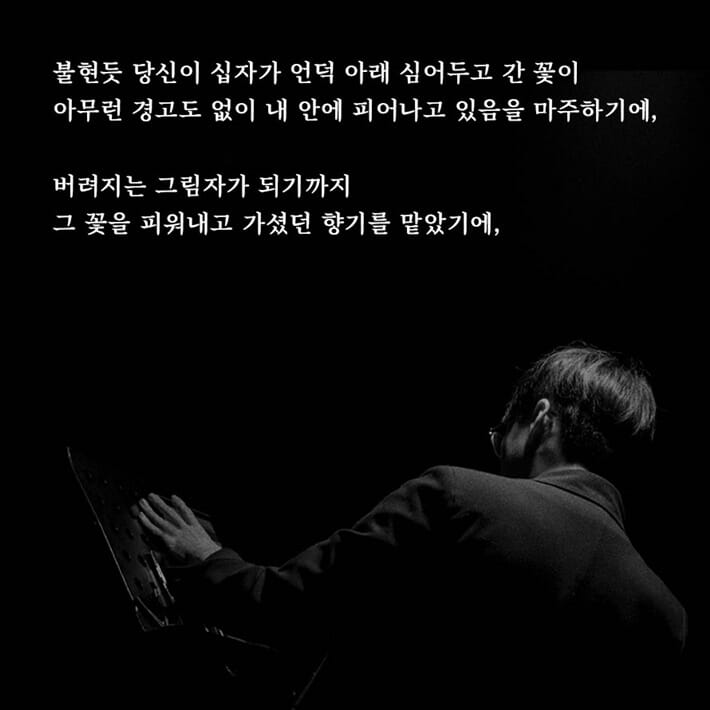 카드뉴스5