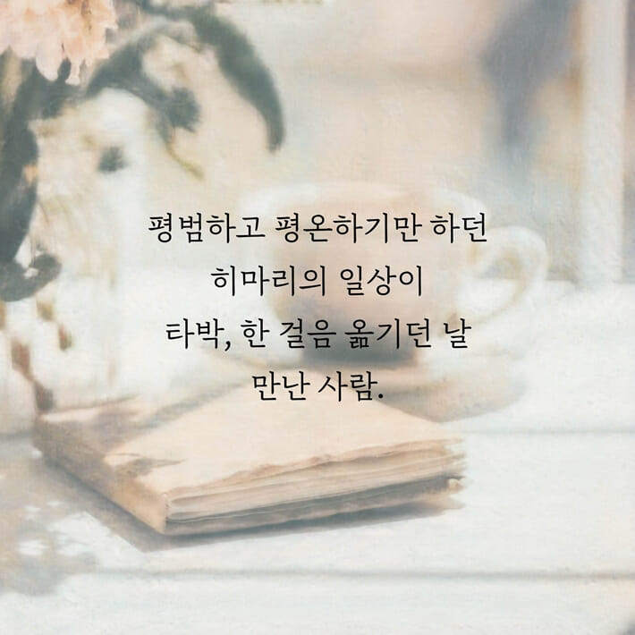 카드뉴스3