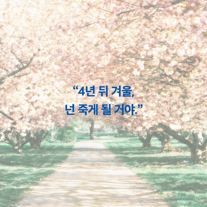 카드뉴스4