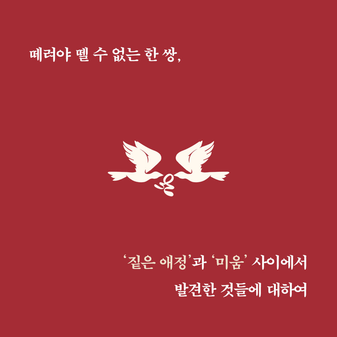 카드뉴스0