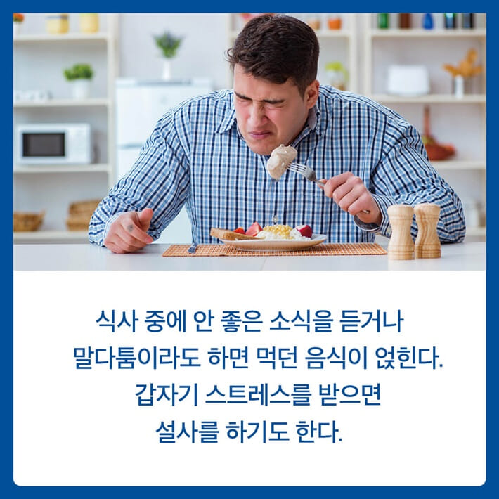 카드뉴스0