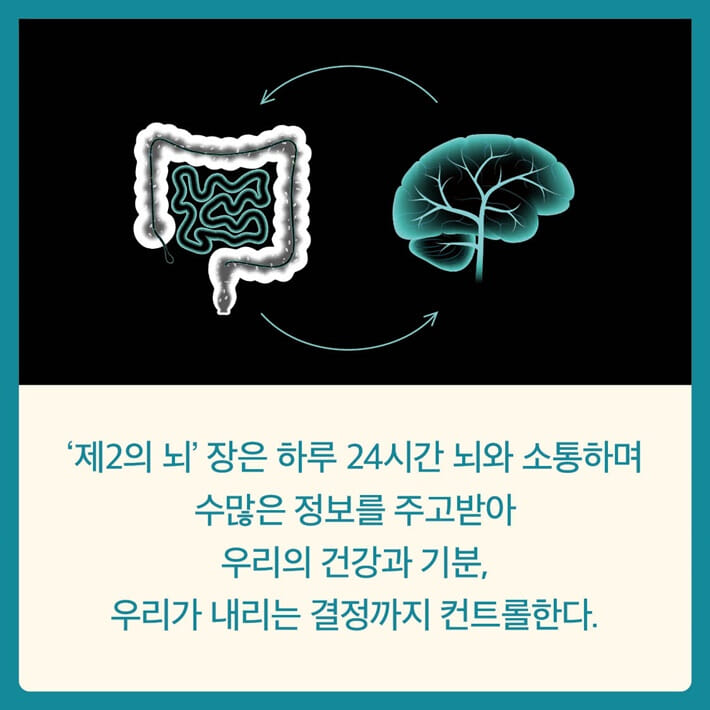 카드뉴스2