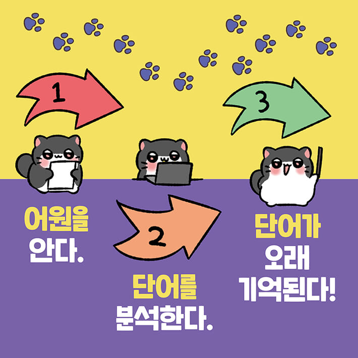 카드뉴스5