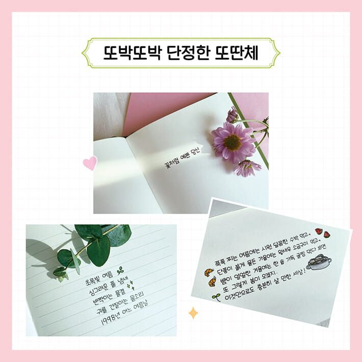 카드뉴스2