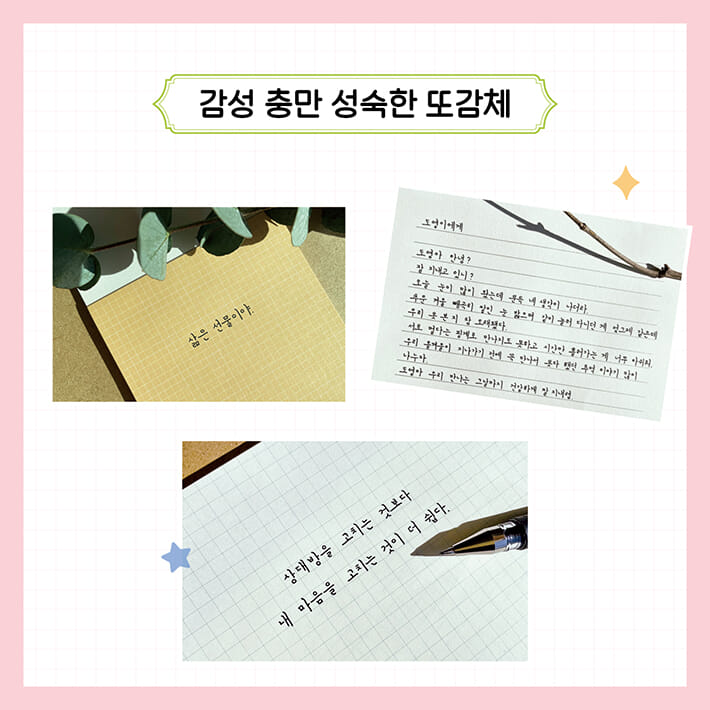카드뉴스4