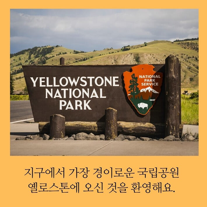 카드뉴스0