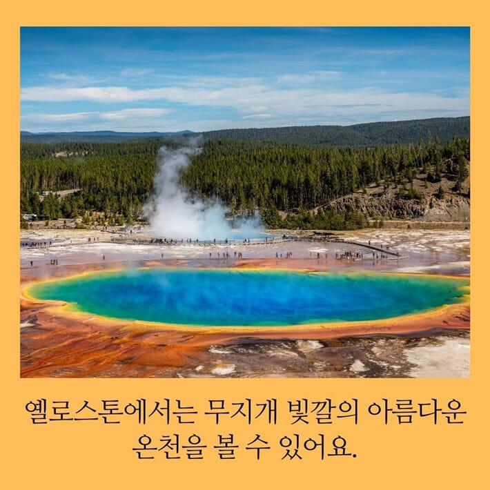 카드뉴스1