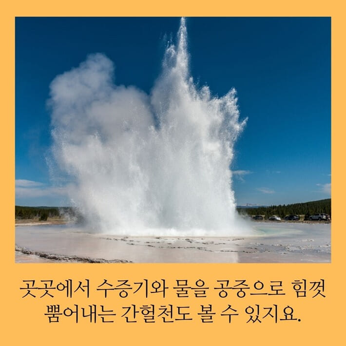 카드뉴스2