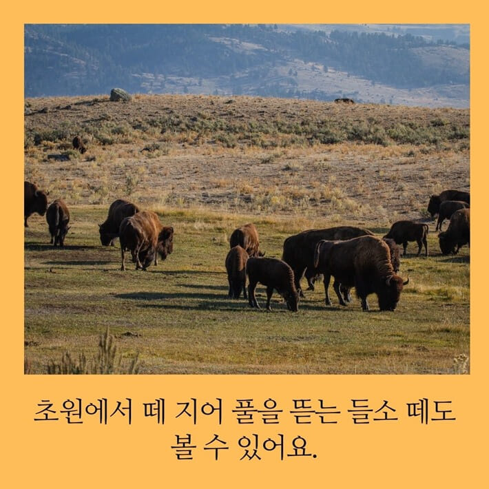 카드뉴스3