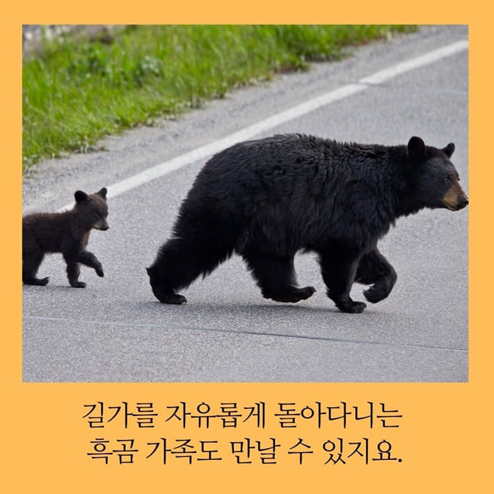 카드뉴스4