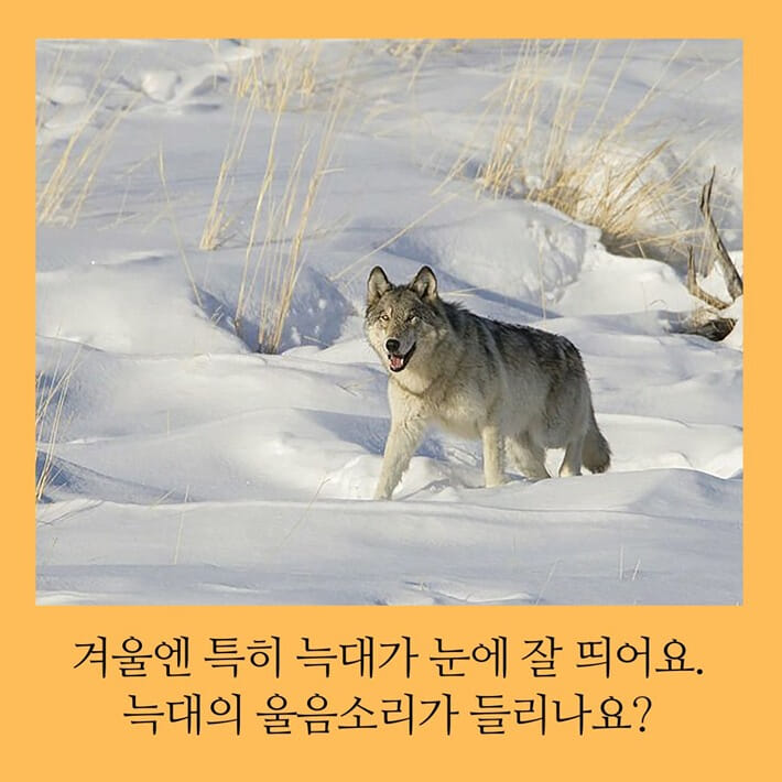 카드뉴스5