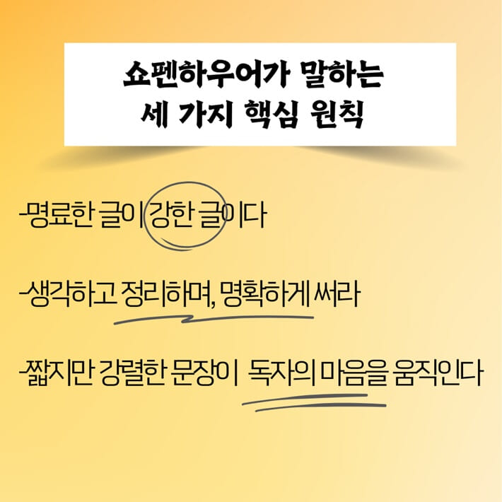 카드뉴스3