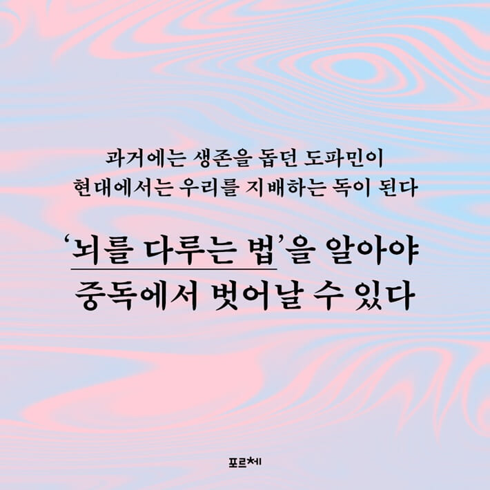 카드뉴스5