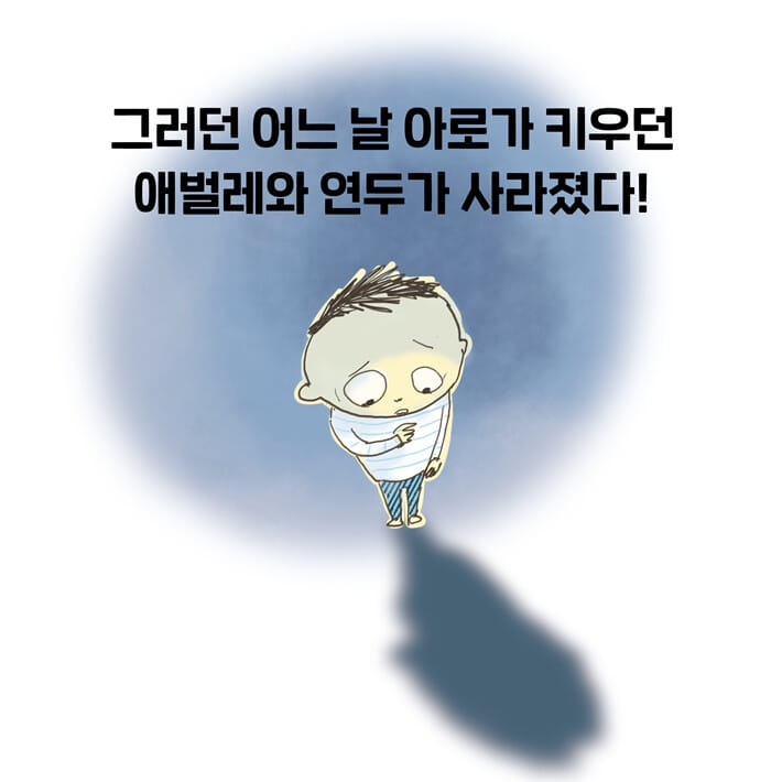 카드뉴스4