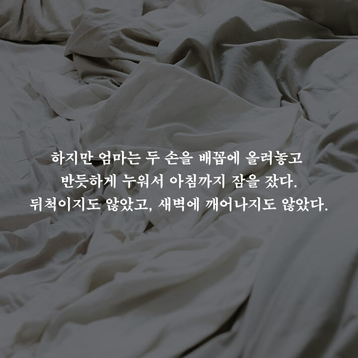 카드뉴스3
