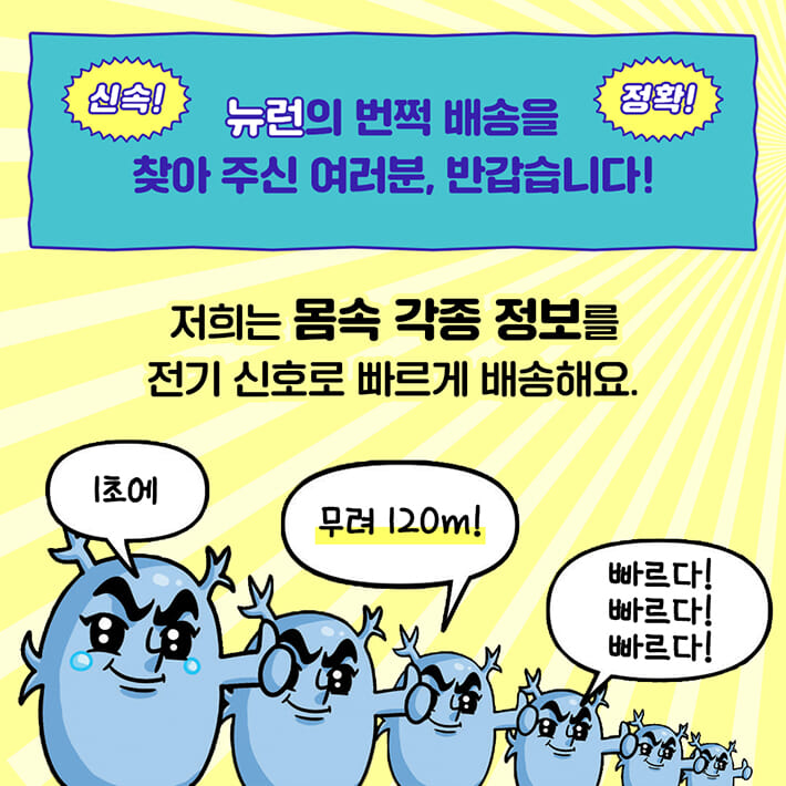 카드뉴스1