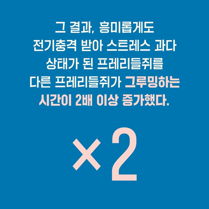 카드뉴스2