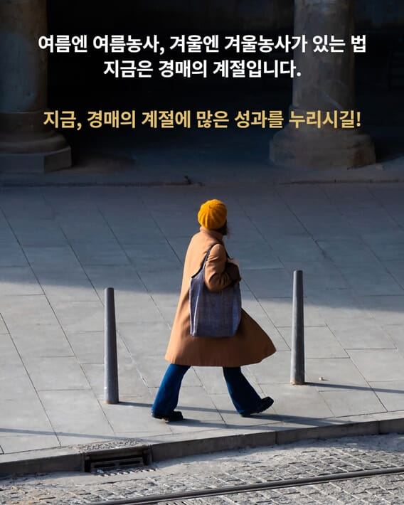 카드뉴스8
