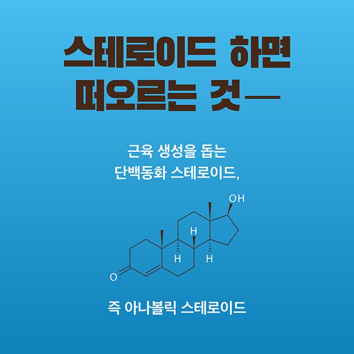 카드뉴스3