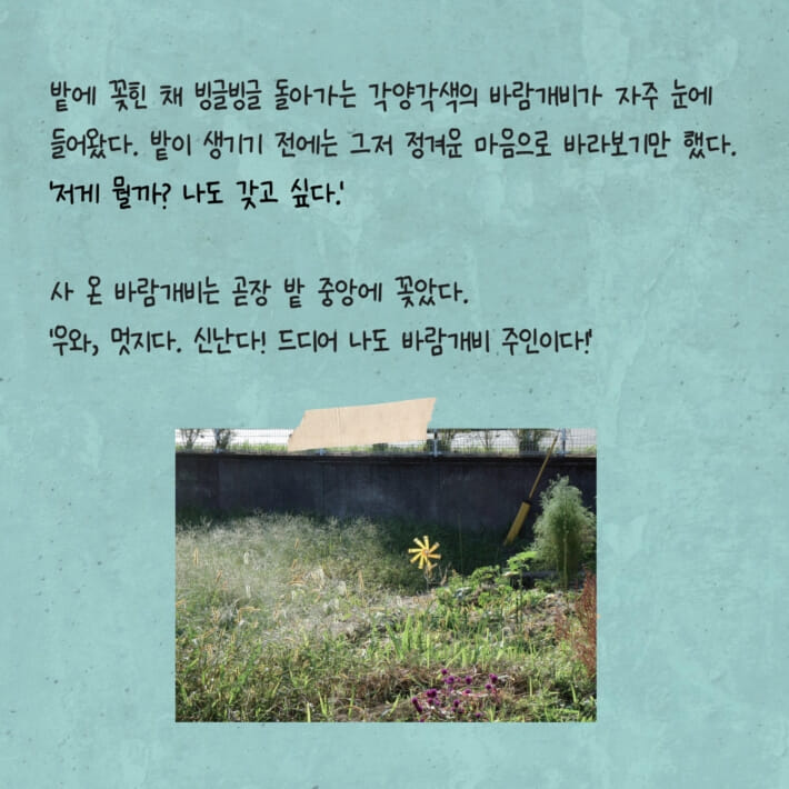 카드뉴스2