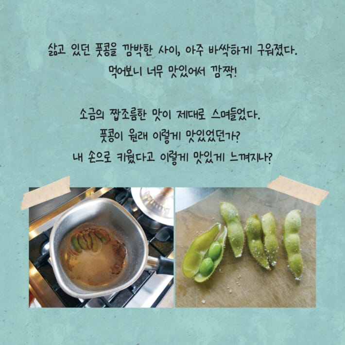 카드뉴스3