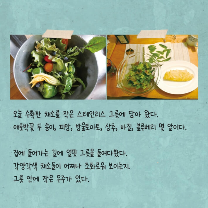 카드뉴스4