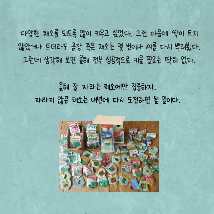 카드뉴스5