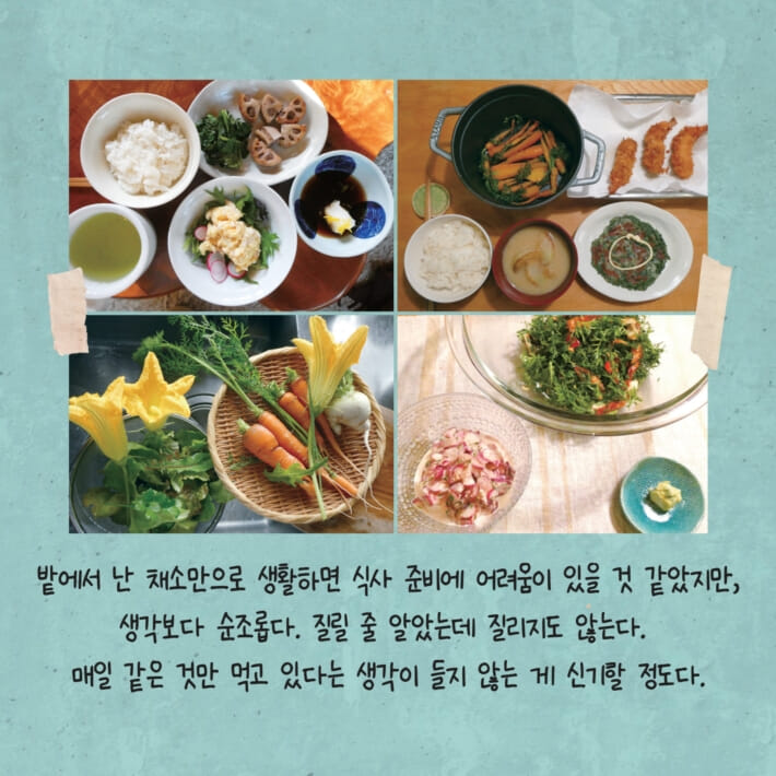 카드뉴스6