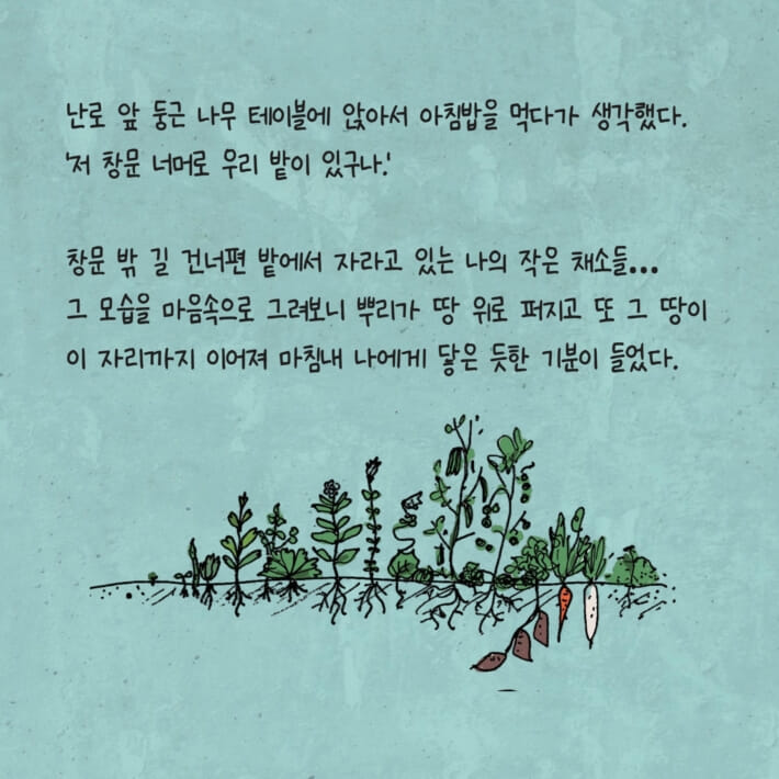 카드뉴스7