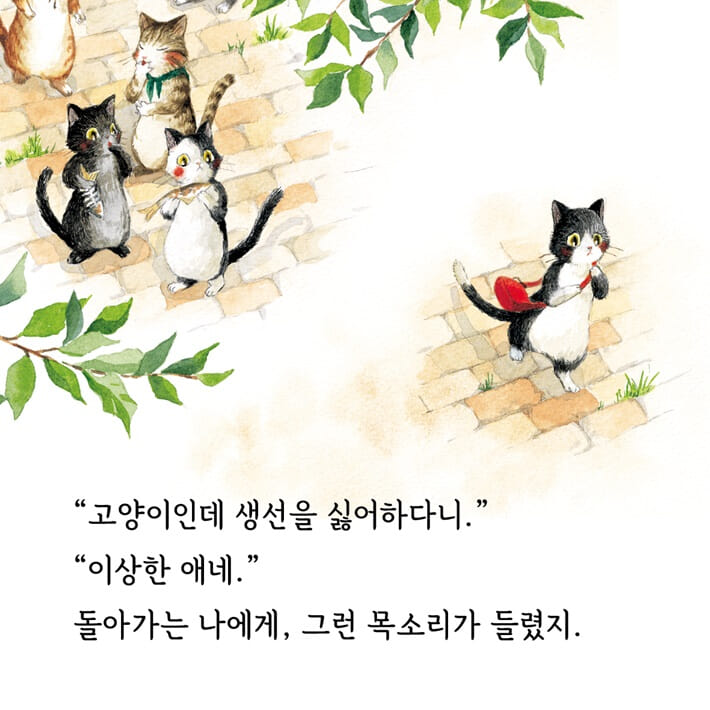 카드뉴스4