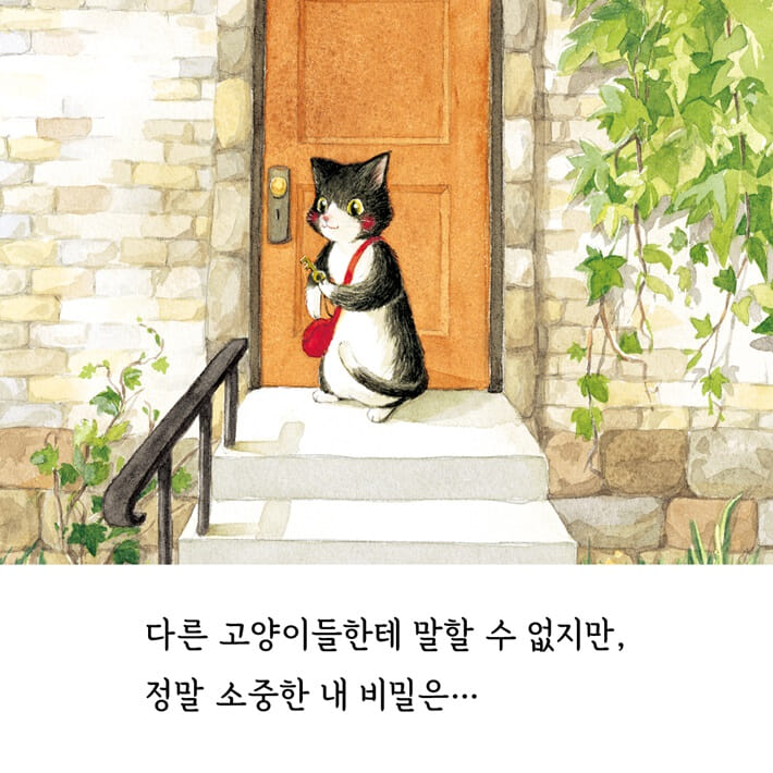 카드뉴스5