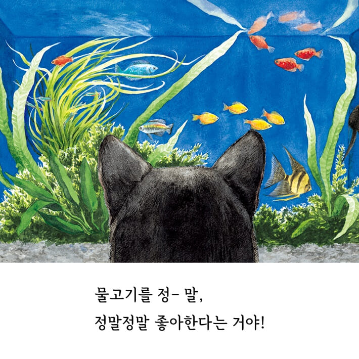카드뉴스6