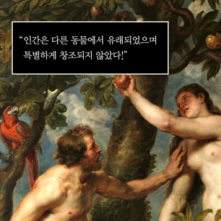 카드뉴스0