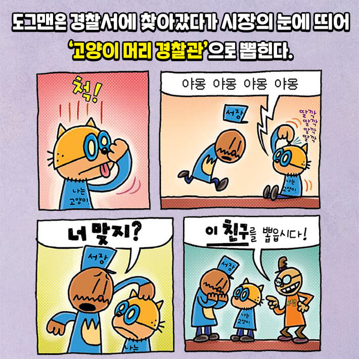 카드뉴스4
