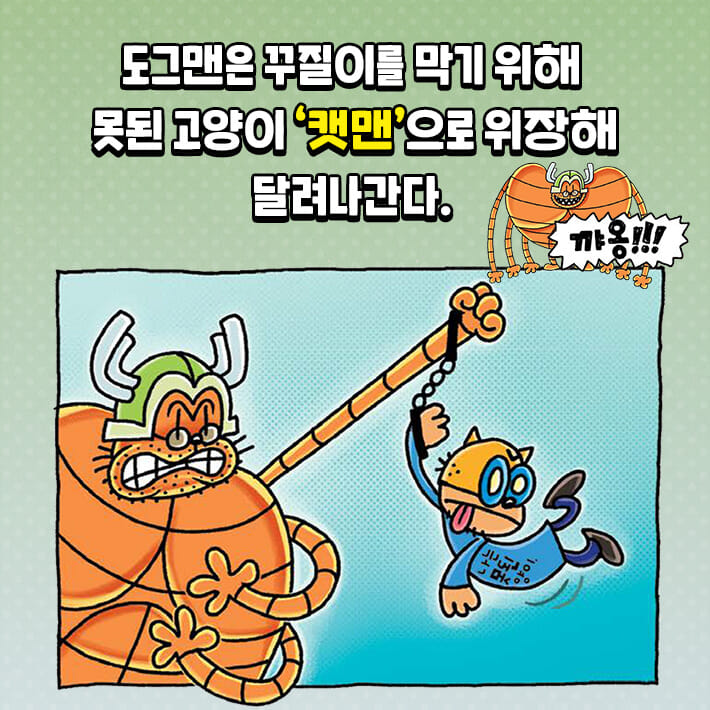 카드뉴스6