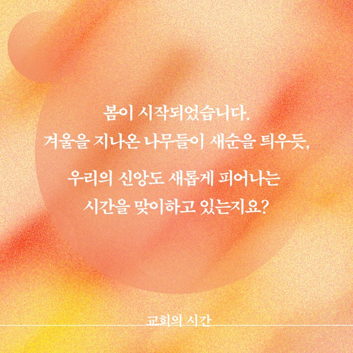 카드뉴스1