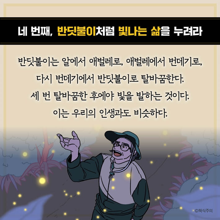 카드뉴스6