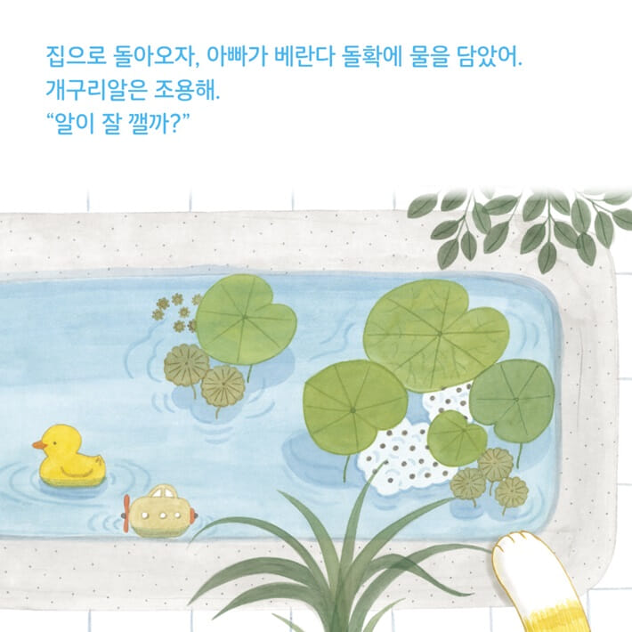 카드뉴스2