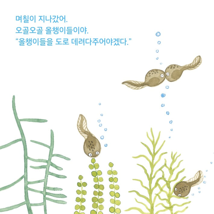 카드뉴스3